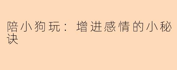 陪小狗玩：增进感情的小秘诀