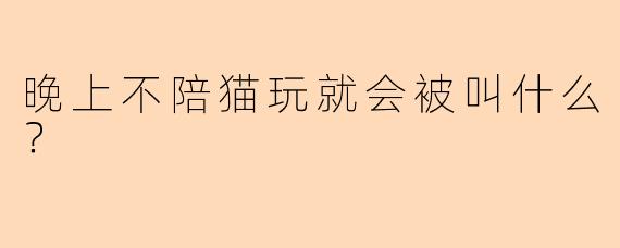 晚上不陪猫玩就会被叫什么？