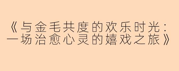 《与金毛共度的欢乐时光：一场治愈心灵的嬉戏之旅》