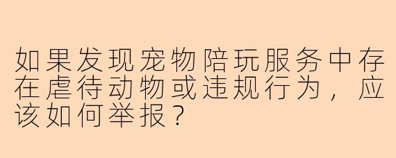 如果发现宠物陪玩服务中存在虐待动物或违规行为,应该如何举报?