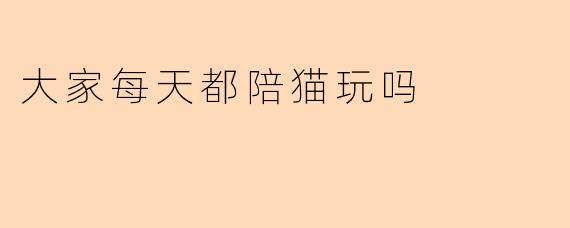 大家每天都陪猫玩吗