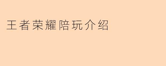 王者荣耀陪玩介绍