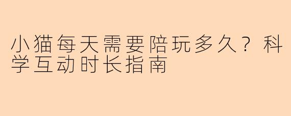 小猫每天需要陪玩多久？科学互动时长指南
