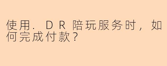 使用.DR陪玩服务时，如何完成付款？