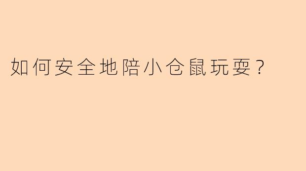 如何安全地陪小仓鼠玩耍?