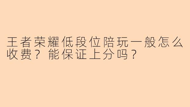 王者荣耀低段位陪玩一般怎么收费?能保证上分吗?