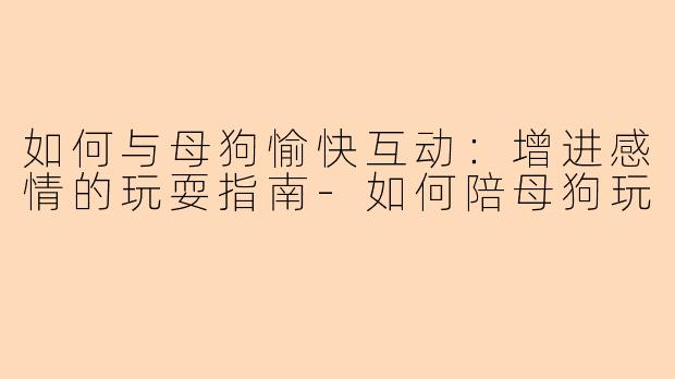 如何与母狗愉快互动:增进感情的玩耍指南