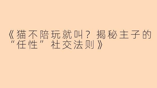 《猫不陪玩就叫？揭秘主子的“任性”社交法则》