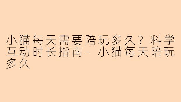 小猫每天需要陪玩多久？科学互动时长指南-小猫每天陪玩多久