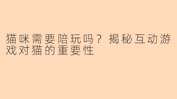 猫咪需要陪玩吗？揭秘互动游戏对猫的重要性