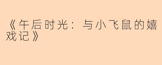 《午后时光:与小飞鼠的嬉戏记》
