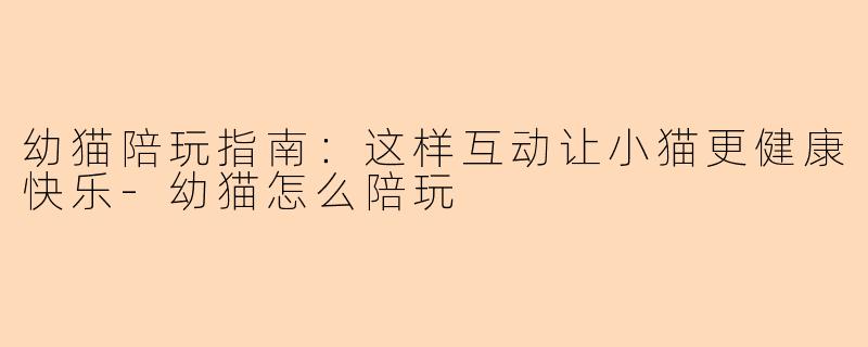 幼猫陪玩指南：这样互动让小猫更健康快乐-幼猫怎么陪玩