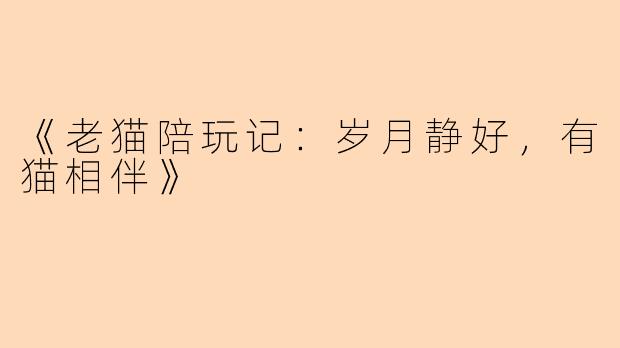 《老猫陪玩记：岁月静好，有猫相伴》