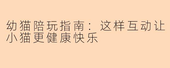 幼猫陪玩指南：这样互动让小猫更健康快乐