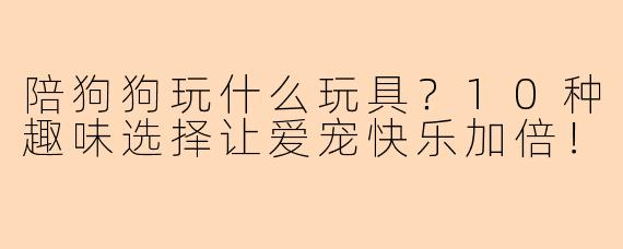 陪狗狗玩什么玩具？10种趣味选择让爱宠快乐加倍！