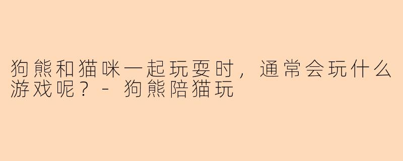狗熊和猫咪一起玩耍时,通常会玩什么游戏呢?