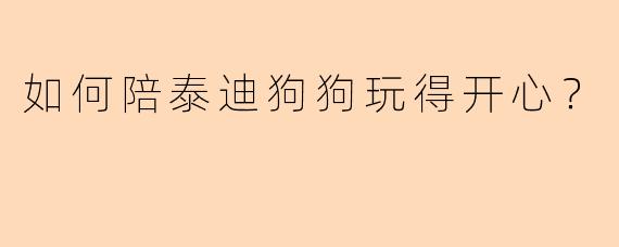 如何陪泰迪狗狗玩得开心?