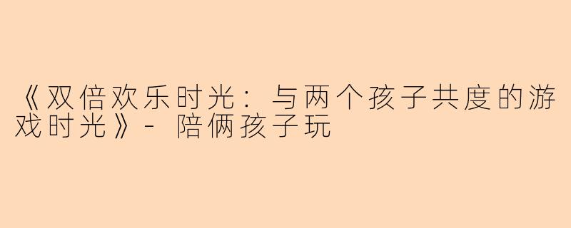 《双倍欢乐时光：与两个孩子共度的游戏时光》-陪俩孩子玩