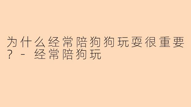 为什么经常陪狗狗玩耍很重要？-经常陪狗玩