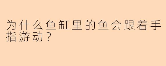为什么鱼缸里的鱼会跟着手指游动？