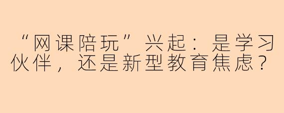 “网课陪玩”兴起：是学习伙伴，还是新型教育焦虑？