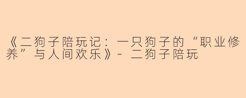 《二狗子陪玩记：一只狗子的“职业修养”与人间欢乐》-二狗子陪玩