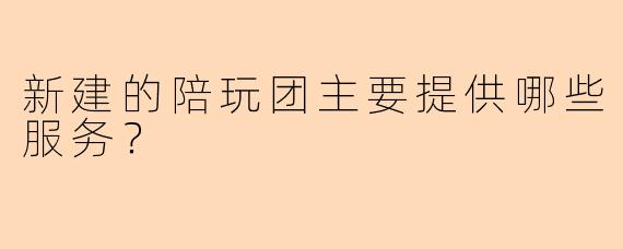 新建的陪玩团主要提供哪些服务？