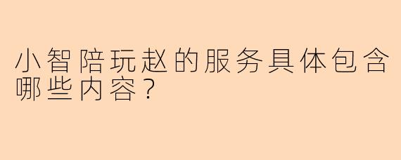 小智陪玩赵的服务具体包含哪些内容?