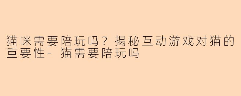 猫咪需要陪玩吗？揭秘互动游戏对猫的重要性-猫需要陪玩吗
