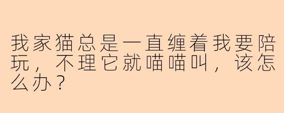 我家猫总是一直缠着我要陪玩,不理它就喵喵叫,该怎么办?