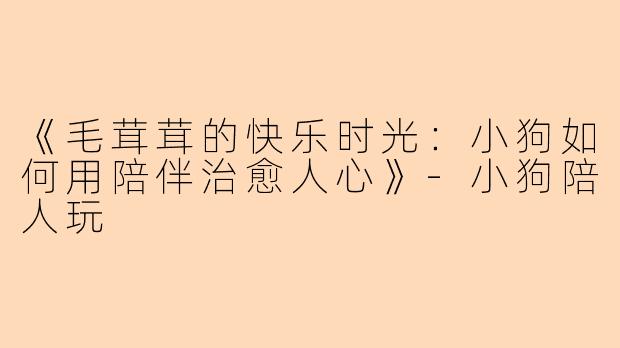 《毛茸茸的快乐时光：小狗如何用陪伴治愈人心》-小狗陪人玩