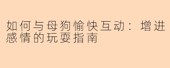 如何与母狗愉快互动：增进感情的玩耍指南