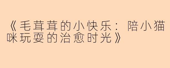 《毛茸茸的小快乐：陪小猫咪玩耍的治愈时光》