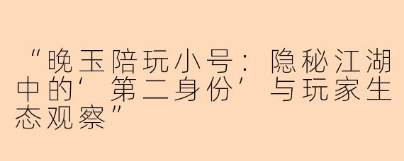“晚玉陪玩小号：隐秘江湖中的‘第二身份’与玩家生态观察”