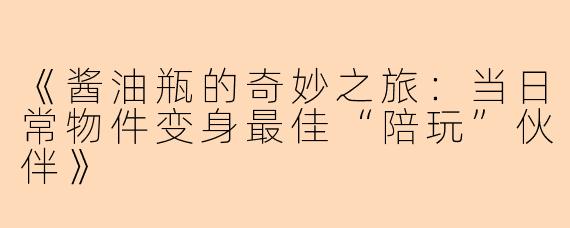 《酱油瓶的奇妙之旅：当日常物件变身最佳“陪玩”伙伴》
