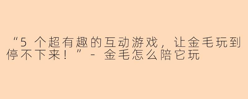 “5个超有趣的互动游戏，让金毛玩到停不下来！”-金毛怎么陪它玩