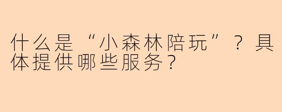 什么是“小森林陪玩”？具体提供哪些服务？