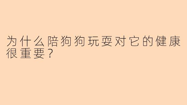 为什么陪狗狗玩耍对它的健康很重要?