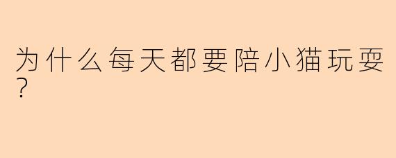 为什么每天都要陪小猫玩耍？