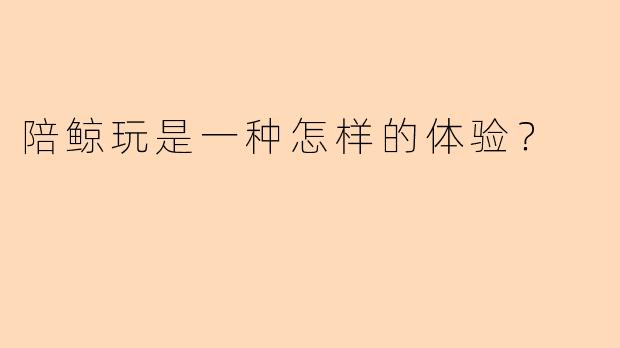 陪鲸玩是一种怎样的体验？