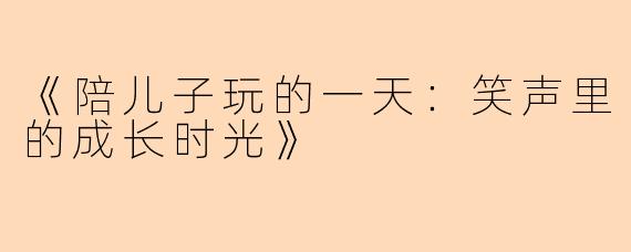《陪儿子玩的一天：笑声里的成长时光》