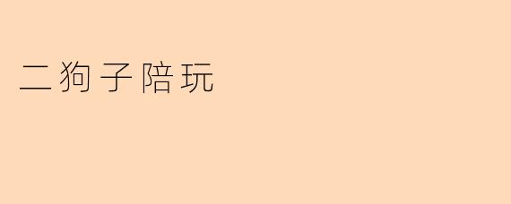 二狗子陪玩