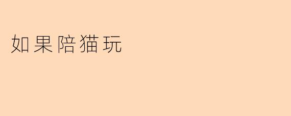 如果陪猫玩