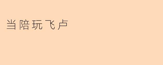 当陪玩飞卢