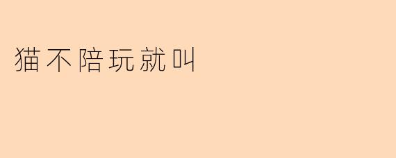 猫不陪玩就叫