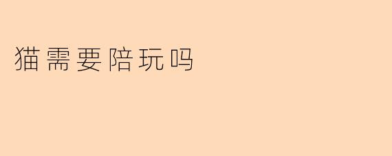 猫需要陪玩吗