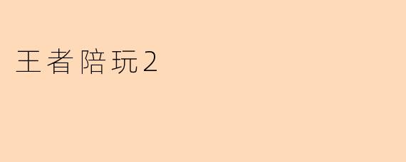 王者陪玩2