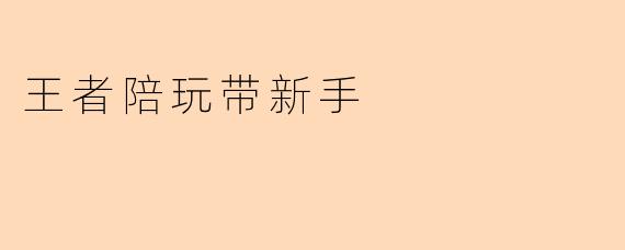 王者陪玩带新手