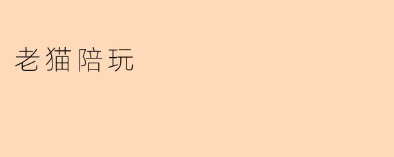 《老猫陪玩记:岁月静好,有猫相伴》