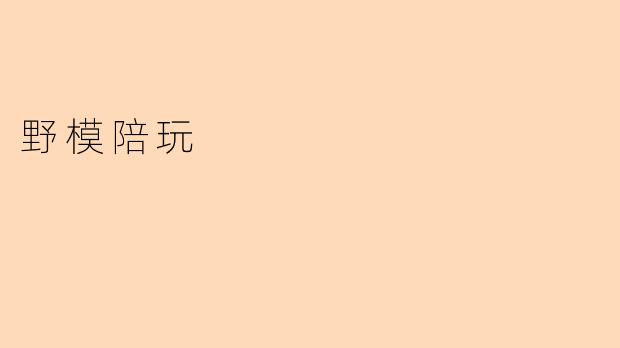 野模陪玩